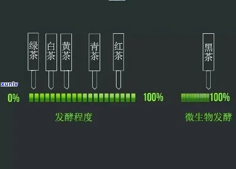 微发酵的是什么茶？详解微发酵茶的种类与分类