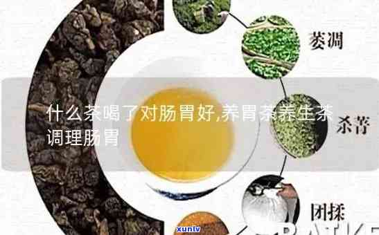 什么茶最养胃？的饮食搭配与选择