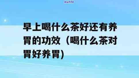 什么茶比较养胃且好喝？