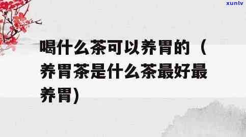 什么茶有养胃功效和作用，探秘养胃佳品：揭秘具有养胃功效的茶叶及其作用