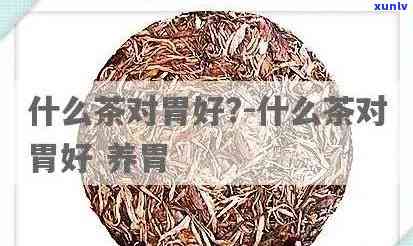 什么茶有养胃功效和作用，探秘养胃佳品：揭秘具有养胃功效的茶叶及其作用