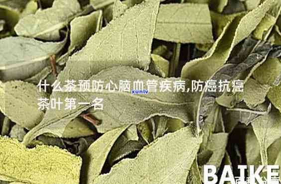 什么茶对心血管有益呢，探寻心血管友好的茶叶种类