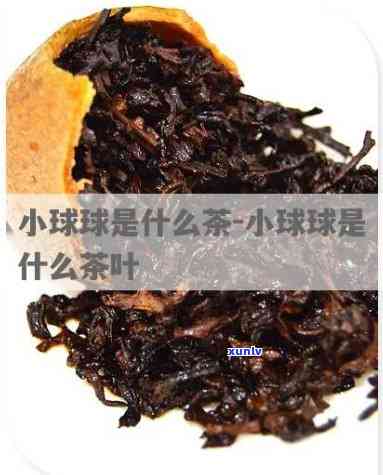 小球形状的是什么茶-小球状的茶是什么茶