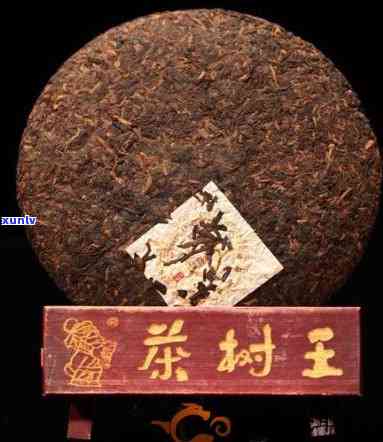 老茶王1995价格，探究老茶王1995的市场价格与收藏价值