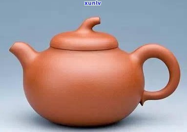 权壶型适合泡什么茶？详解权壶适合冲泡的茶叶种类与适宜人群