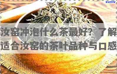 权壶型适合泡什么茶？详解权壶适合冲泡的茶叶种类与适宜人群