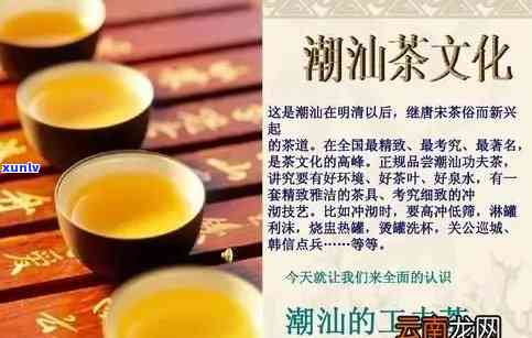 潮汕和漳泉地区流行的茶艺及行茶叶品种解析