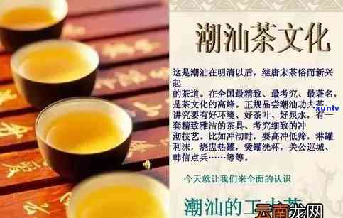 潮汕和漳泉什么茶艺-潮汕和漳泉什么茶艺相似