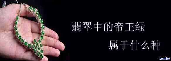 翡翠帝王绿是什么级别，探究翡翠中的王者——帝王绿级别的含义与价值