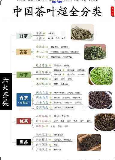 西安特色茶品种大全：名称、图片一网打尽！