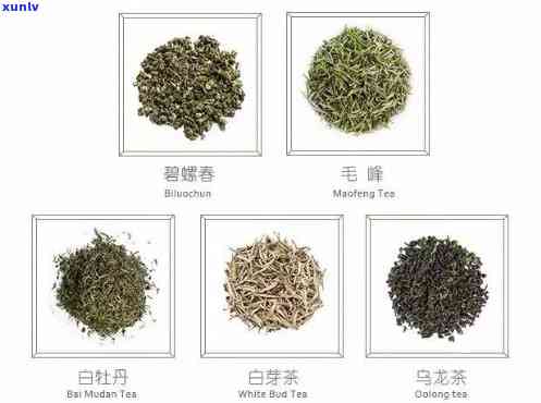 什么茶泡水后是整叶的？探讨茶叶形态与口感的关系