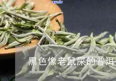 什么茶像老鼠屎一样-什么茶像老鼠屎一样臭