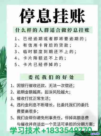 老班章和七子茶有什么区别：详解两种普洱茶的特点差异