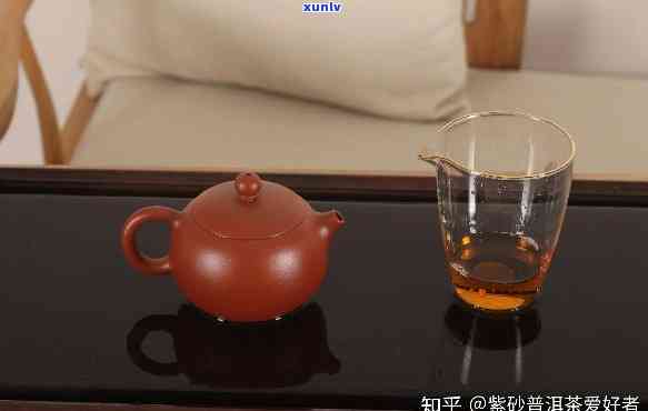 小茶壶适合冲什么茶喝？详细解析