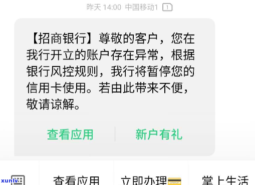 停息挂账对其他信用卡有什么影响-停息挂账对其他信用卡有什么影响呢