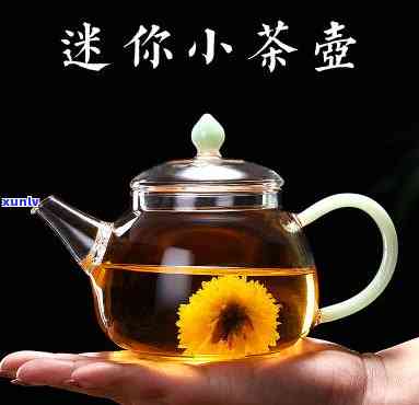 小茶壶适合冲什么茶-小茶壶适合冲什么茶喝