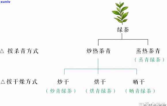 三绿三香：揭示其茶类与茶种的身份