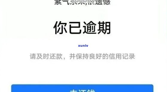 信用卡逾期停用8年后如何重新申请及注意事项