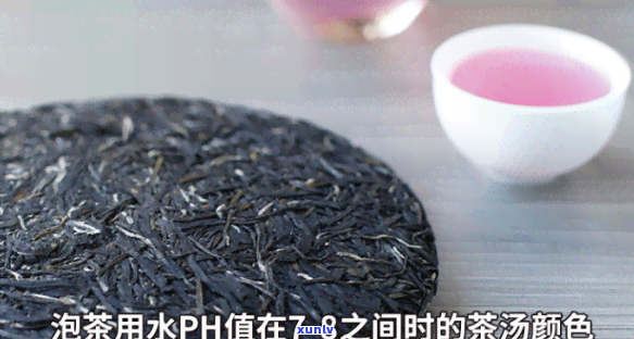 紫色的茶是什么茶叶？揭开神秘面纱