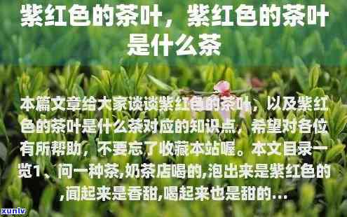 紫色的茶是什么茶叶？揭开神秘面纱