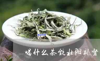 什么茶有壮阳补肾功效？探讨其作用与选择建议