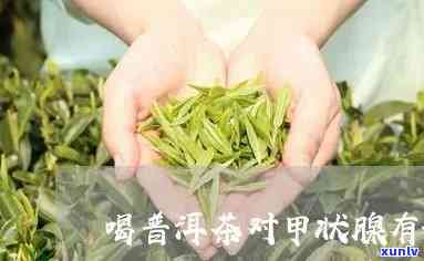 喝什么茶对甲状腺有利，探究甲状腺健：哪些茶叶最适合饮用？