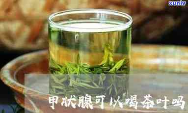 喝什么茶对甲状腺好-喝什么茶对甲状腺好处更大