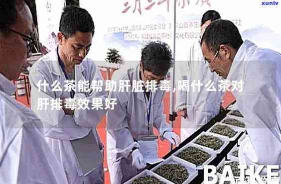 去肝喝什么茶用？专家推荐有效 *** 