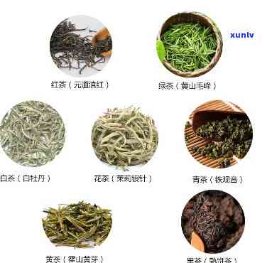 什么茶美白，寻找美白茶？这份清单带你找到答案！