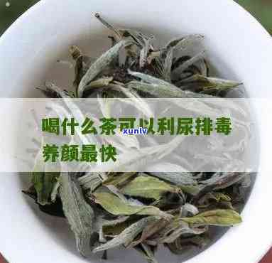 什么茶可以利尿排？效果好的茶品种推荐！