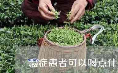 肿瘤病人喝什么茶可以抗癌？效果的茶饮推荐！