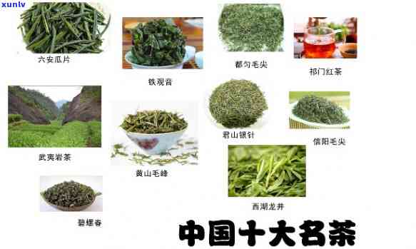 中国的茶有哪些类型的名字？详解及图片展示