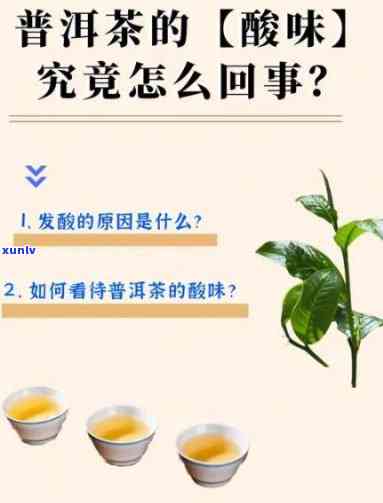 茶有酸味有什么原因造成的，探究茶叶出现酸味的原因