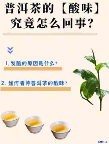 茶里有酸味是怎样问题，探究茶叶的酸味来源：可能的问题及其解决 *** 