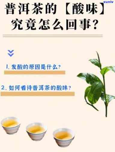 茶里有酸味是怎样问题，探究茶叶的酸味来源：可能的问题及其解决 *** 