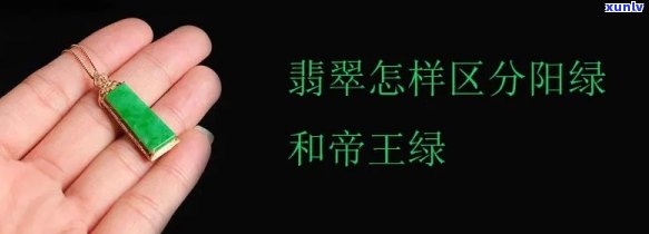 帝王绿辣阳绿-帝王绿辣绿的区别