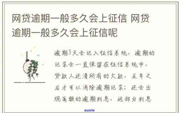 云南野生红茶介绍，探秘云南野生红茶：口感、功效与产地解析