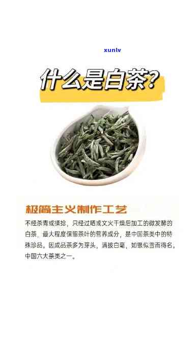 云白毫茶：功效、 *** 与副作用全解析