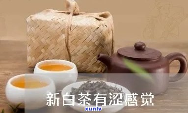 新茶有点涩正常吗？原因解析