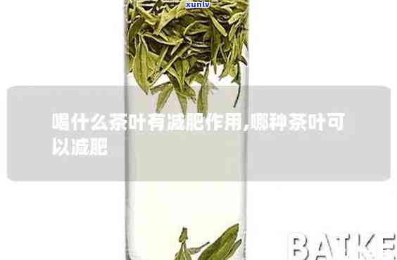 胖人天喝什么茶，来临，胖人适合饮用哪些茶叶？