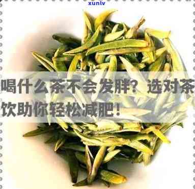 冬天胖子喝什么茶好呢，冬胖友必看：适合冬天饮用的茶叶推荐