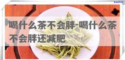 冬天胖子喝什么茶好呢，冬胖友必看：适合冬天饮用的茶叶推荐