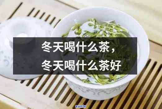 冬天胖子喝什么茶好呢，冬胖友必看：适合冬天饮用的茶叶推荐