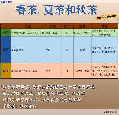 春秋茶有什么区别-春秋茶有什么区别图片