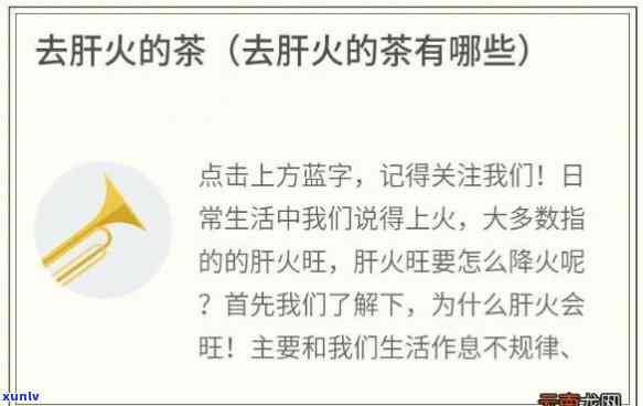 肝火过旺喝什么茶好得快，肝火旺？试试这些茶，帮你降火消炎！