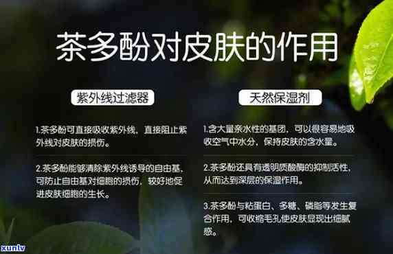 保护皮肤喝什么茶，喝什么茶能有效保护皮肤？