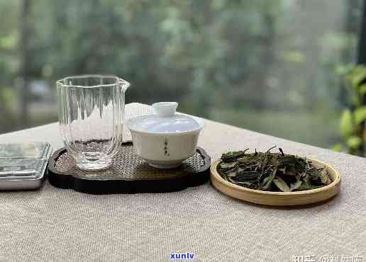 饭后一般喝什么茶好，餐后来一杯，看看哪种茶最适合你？