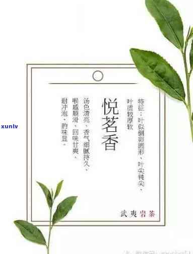 香茗与茶有什么区别-香茗与茶有什么区别图片