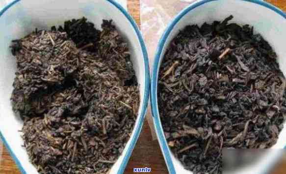 新茶陈茶有什么区别-新茶陈茶有什么区别吗