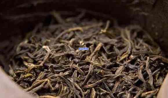 新茶陈茶有什么区别-新茶陈茶有什么区别吗